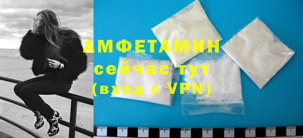 молекула духа Бородино