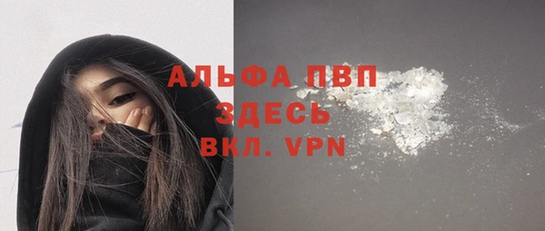 молекула духа Бородино
