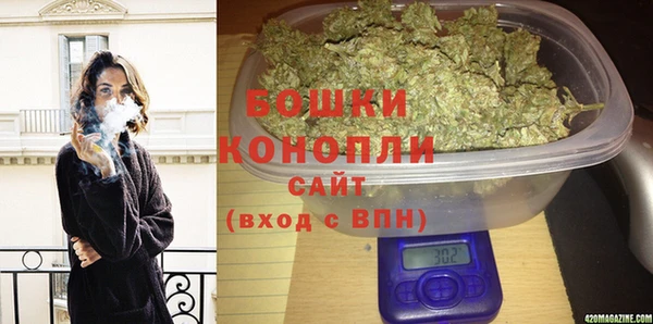 молекула духа Бородино