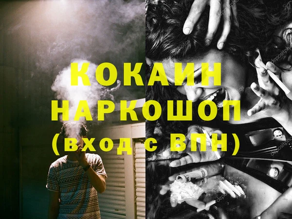 молекула духа Бородино
