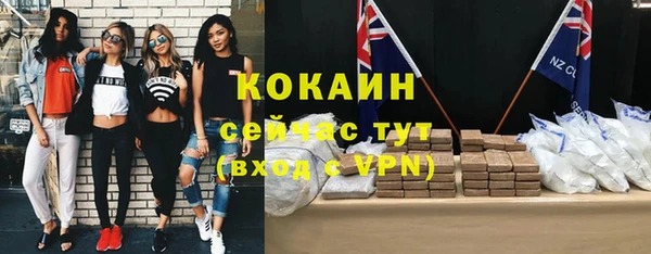 молекула духа Бородино