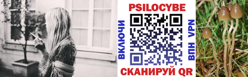 цены наркотик Новосокольники Псилоцибиновые грибы Cubensis
